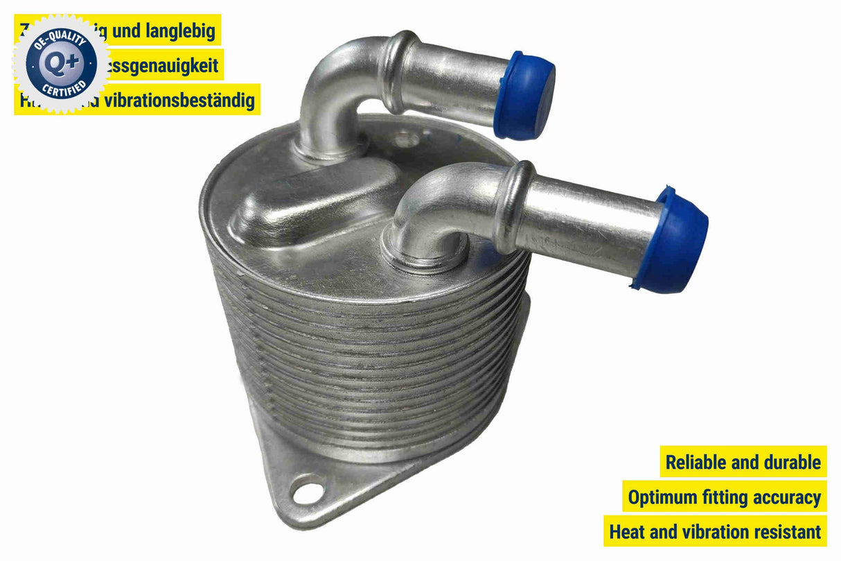 Oil Cooler, automatic transmission - V42-60-0019
