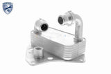 Oil Cooler, engine oil - V24-60-0051