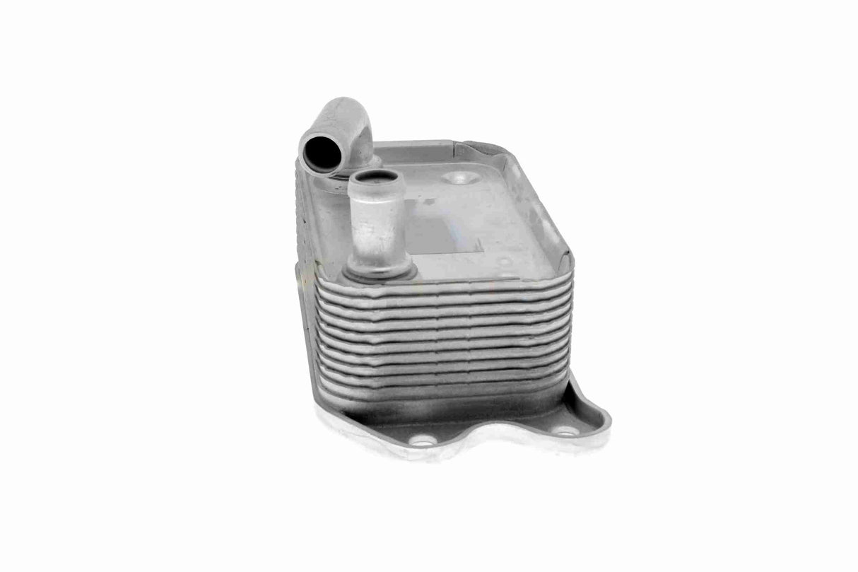 Oil Cooler, engine oil - V95-60-0006