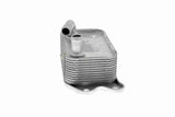 Oil Cooler, engine oil - V95-60-0006