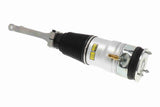 Air Suspension Strut - V58-50-0001
