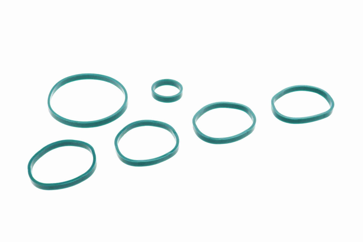 Intake Manifold Module - V10-5426