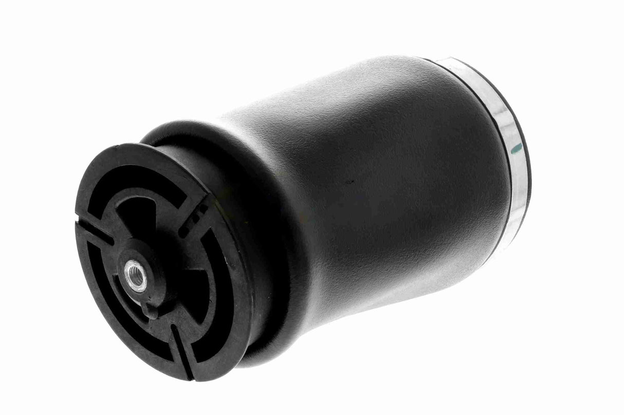Air Suspension Strut - V20-50-0018-1