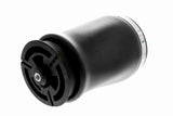 Air Suspension Strut - V20-50-0018-1