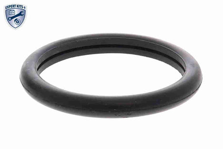 Thermostat, coolant - V25-99-1707