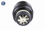 Air Suspension Strut - V30-50-0005