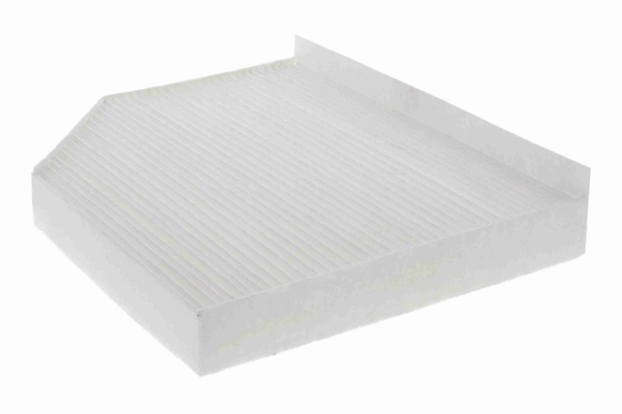 Filter, cabin air - V10-30-1004