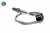 Oxygen Sensor - V53-76-0006