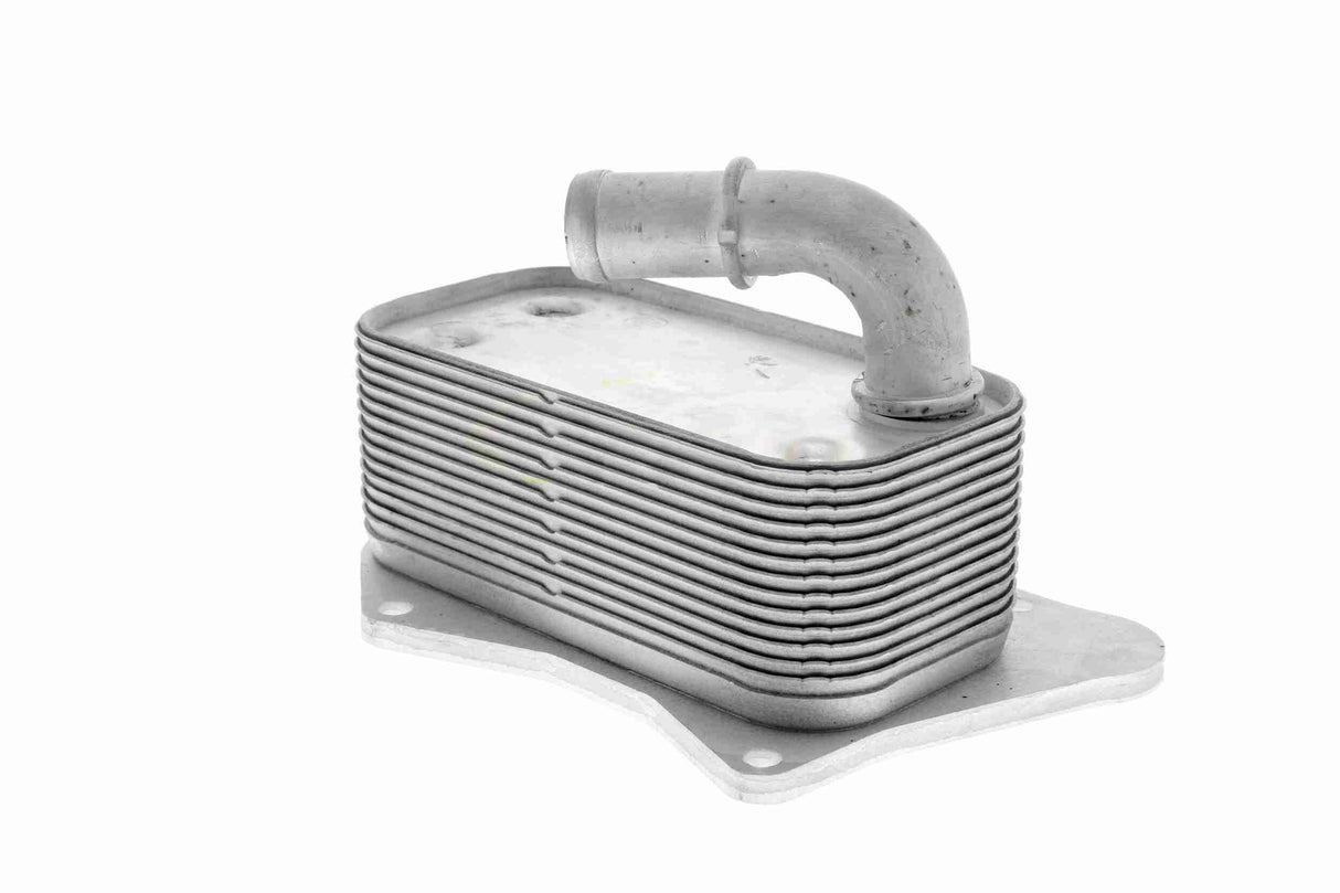 Oil Cooler, engine oil - V40-60-2099