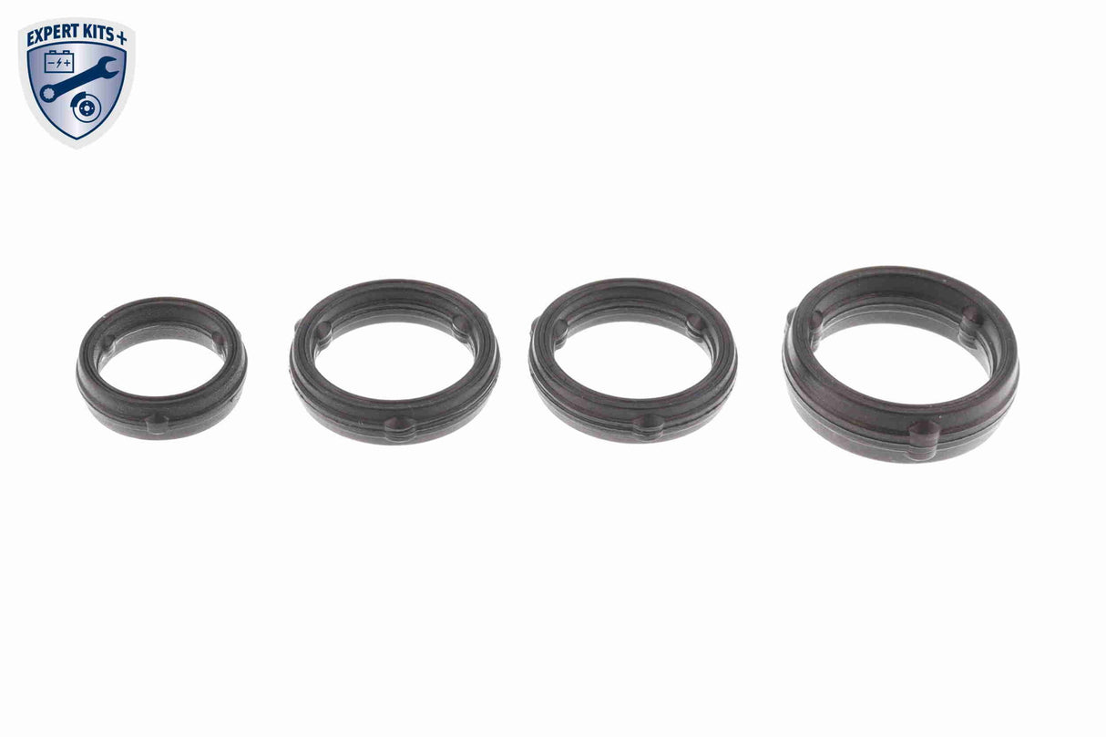 Oil filter module - V33-60-0006