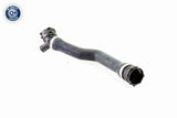 Radiator Hose - V20-1763