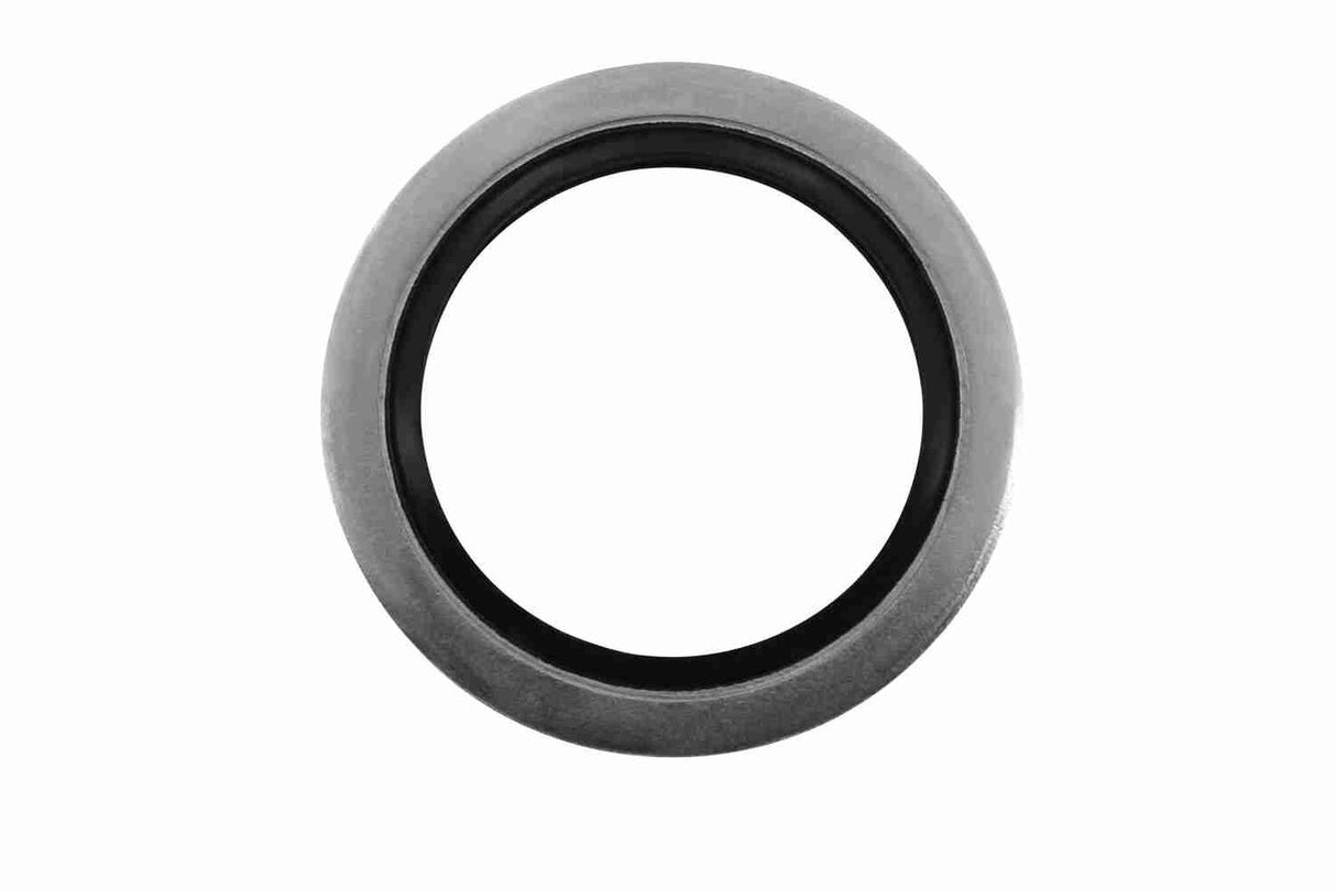 Oil Sump - V24-0673-1