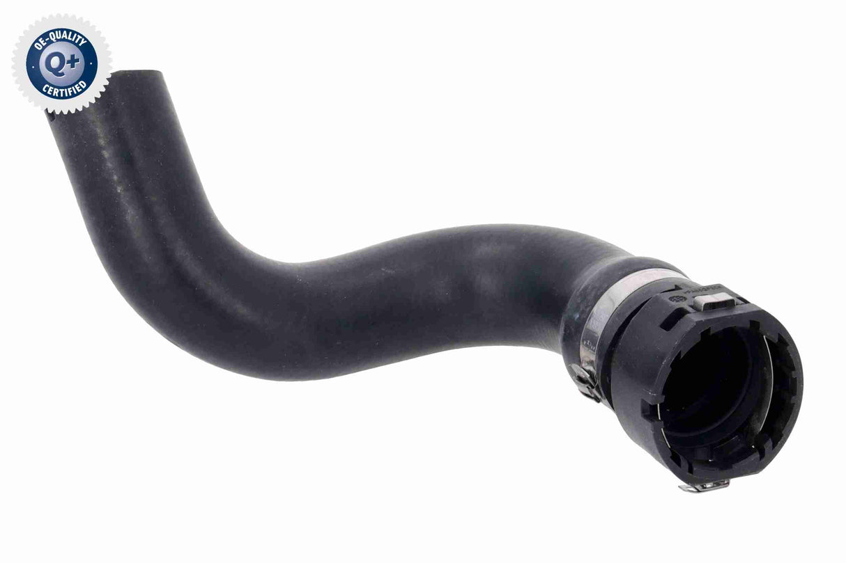 Radiator Hose - V24-1428
