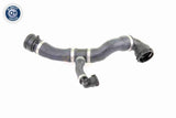 Radiator Hose - V20-1292