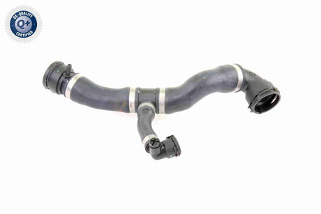 Radiator Hose - V20-1292