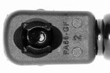 Gas Spring, boot/cargo area - V20-2873