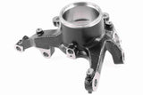 Steering Knuckle, wheel suspension - V48-0253