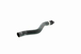 Radiator Hose - V20-2414