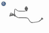 Hose, air supply - V10-3581