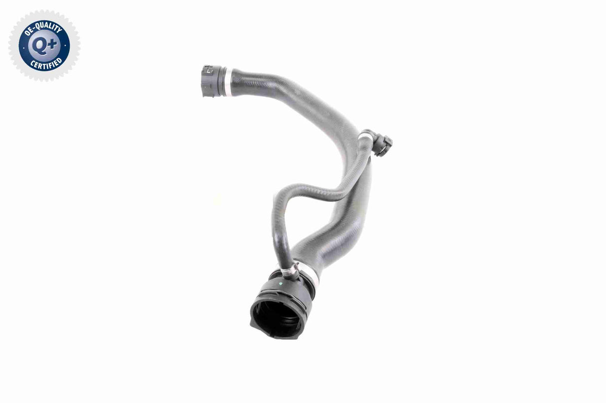 Radiator Hose - V20-1317