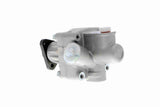 Hydraulic Pump, steering - V20-3101