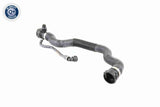 Radiator Hose - V20-1695