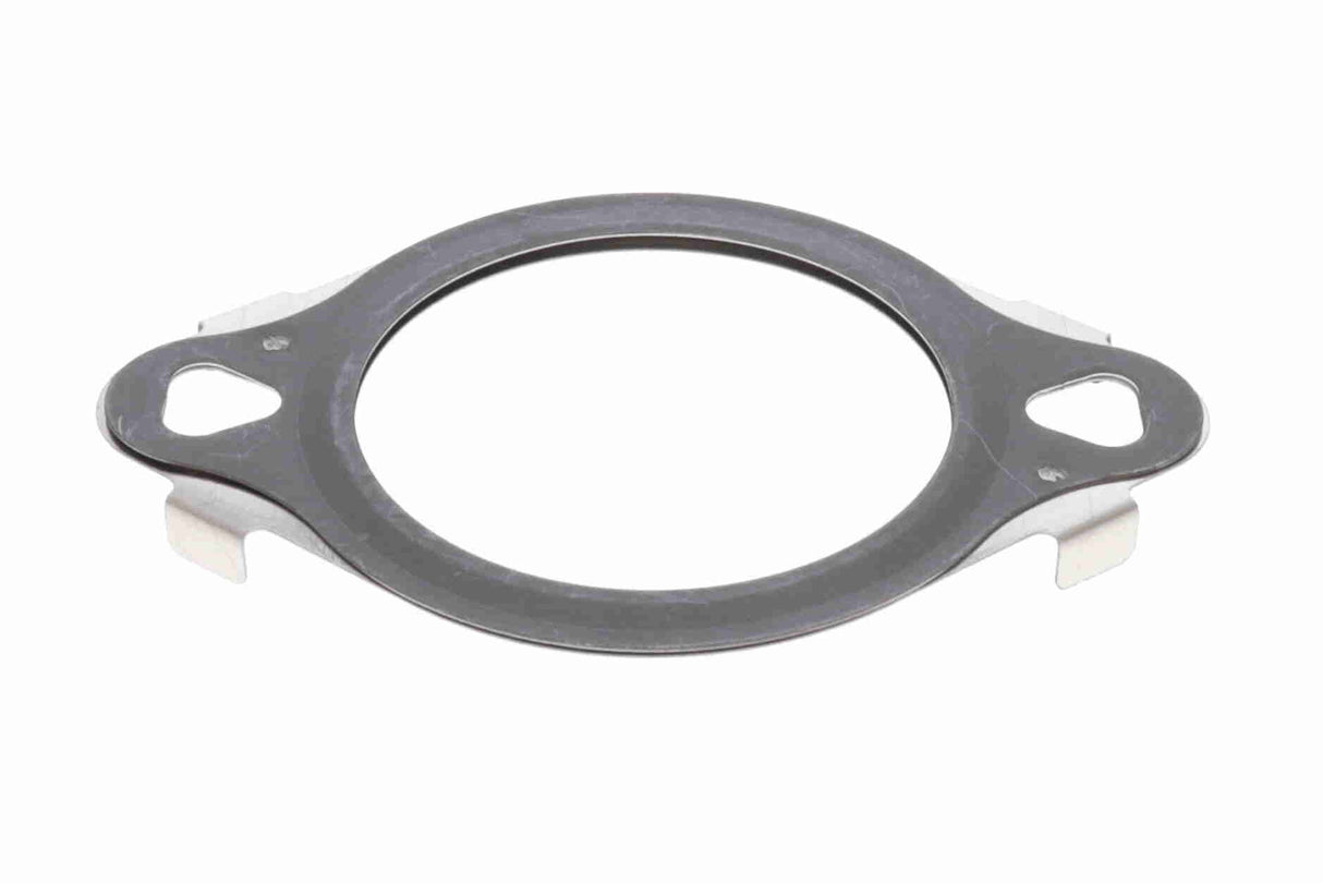Gasket, EGR valve - V10-63-0181