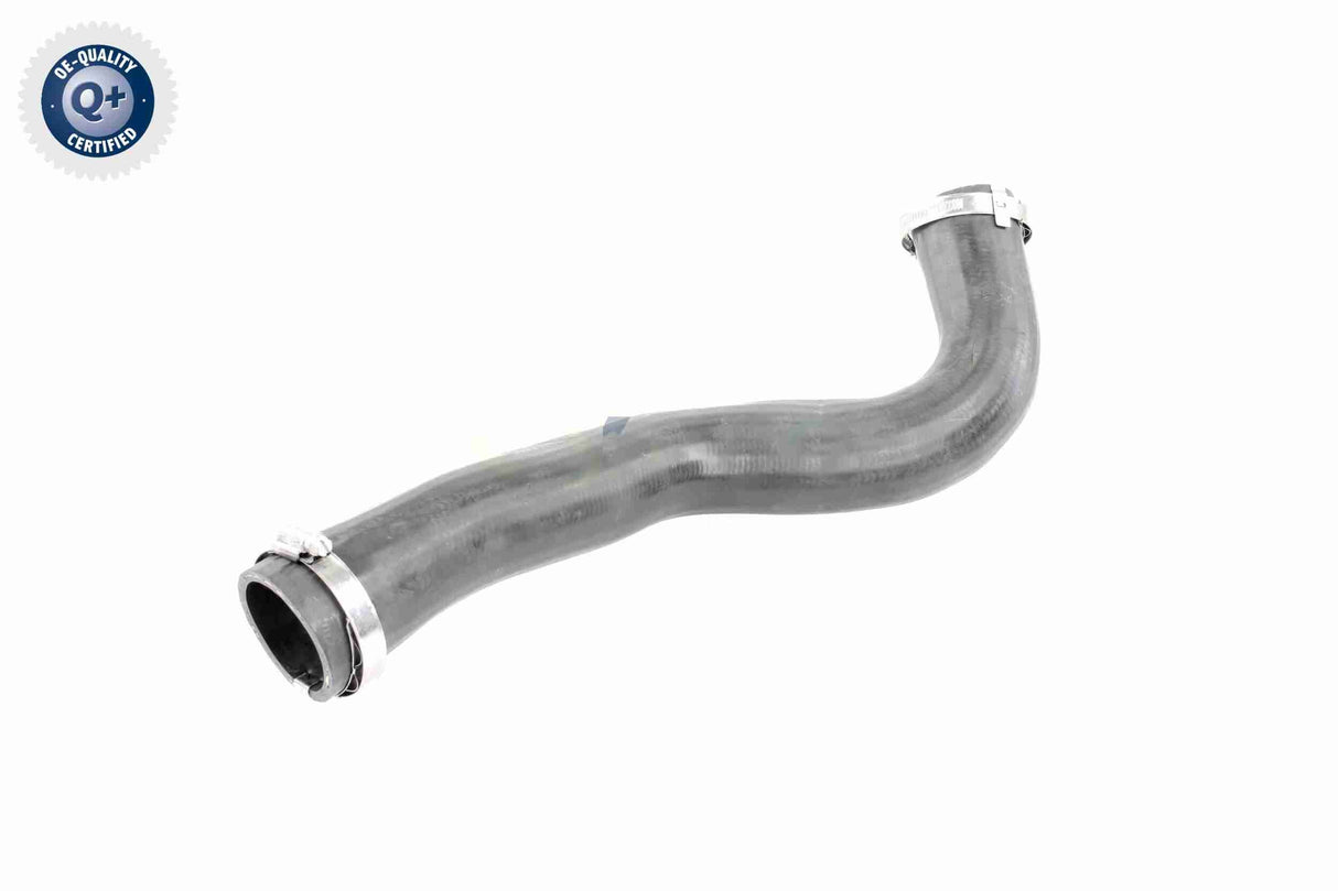 Charge Air Hose - V10-3817