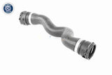 Radiator Hose - V48-0452