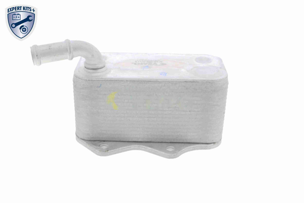 Oil Cooler, engine oil - V15-60-6018