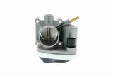 Throttle Body - V10-81-0009