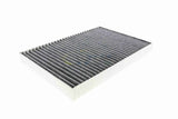 Filter, cabin air - V10-31-1041-1