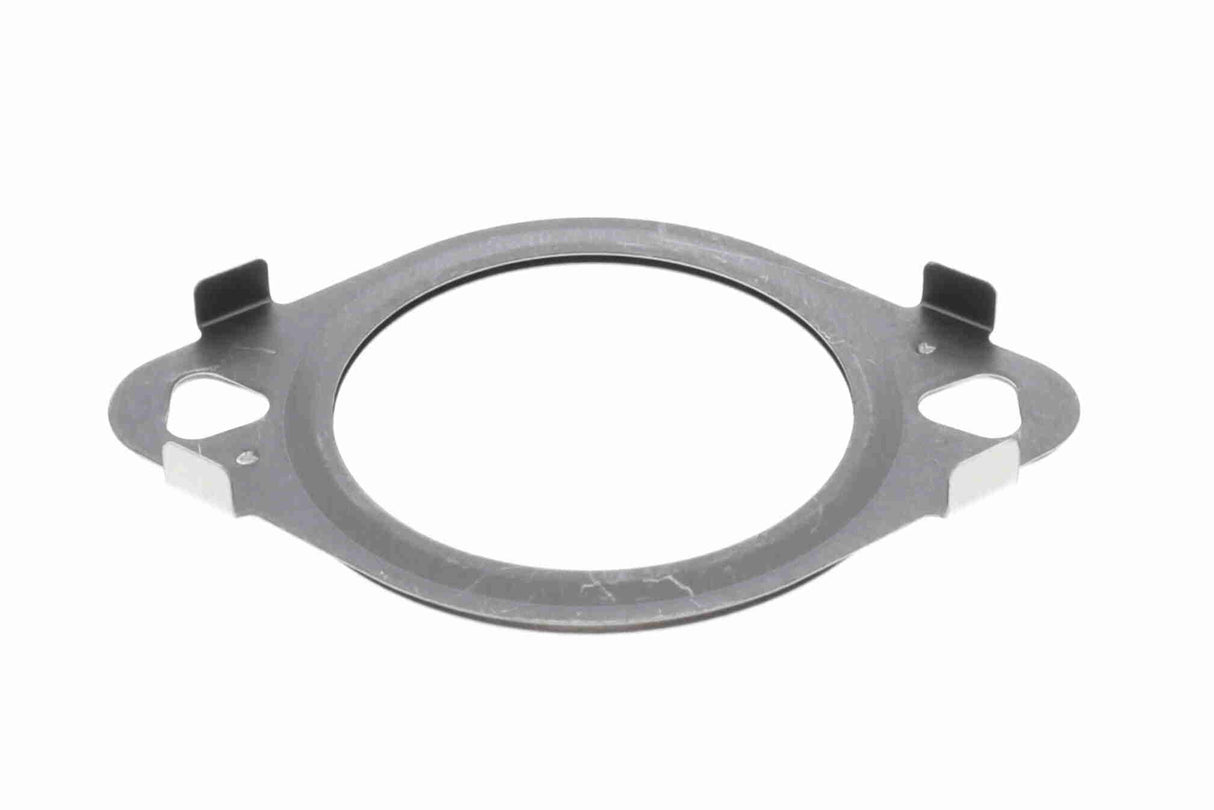 Gasket, EGR valve - V10-63-0181