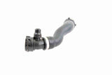 Radiator Hose - V20-2673