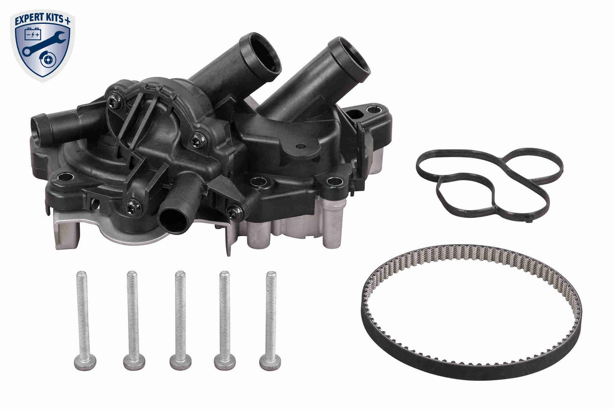 Water Pump & Timing Belt Kit - V15-99-2113
