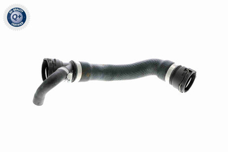 Radiator Hose - V20-1271