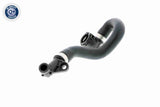 Radiator Hose - V20-1268