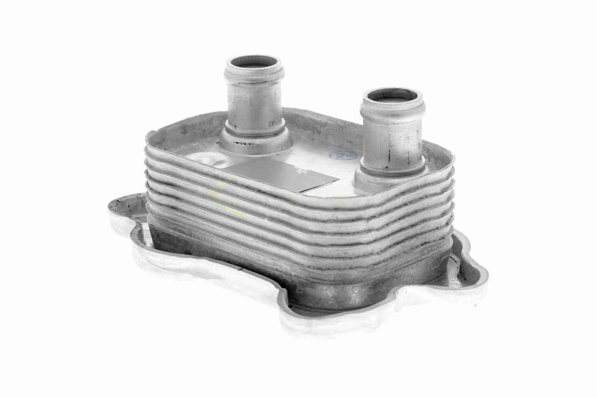Oil Cooler, engine oil - V20-60-0051