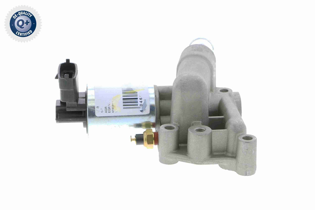 Valve, exhaust gas recirculation - V40-63-0009-1