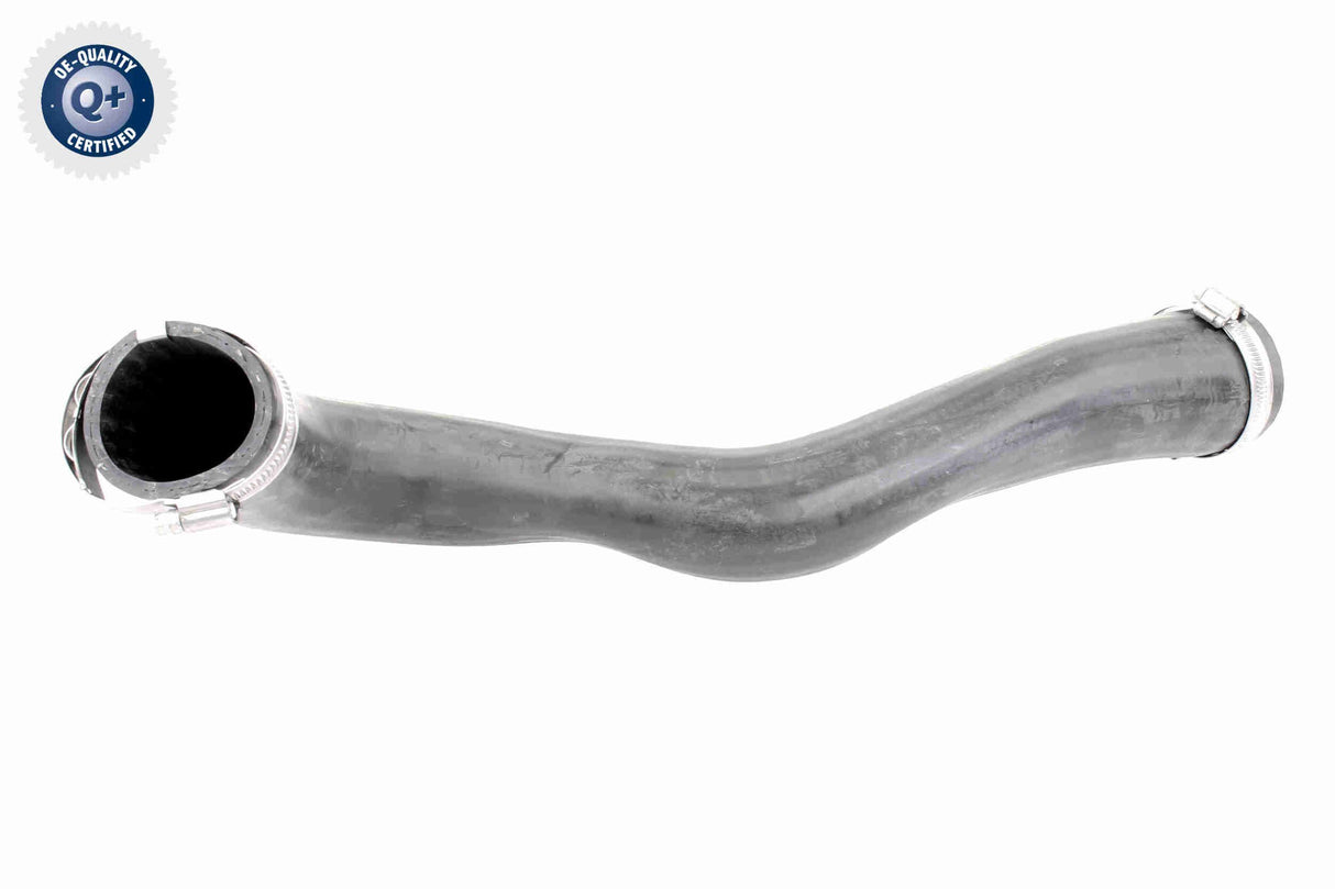 Charge Air Hose - V10-3817