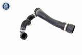 Radiator Hose - V20-2407