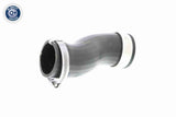 Charge Air Hose - V10-2836