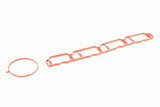 Intake Manifold Module - V10-5797