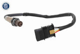 Oxygen Sensor - V20-76-0072