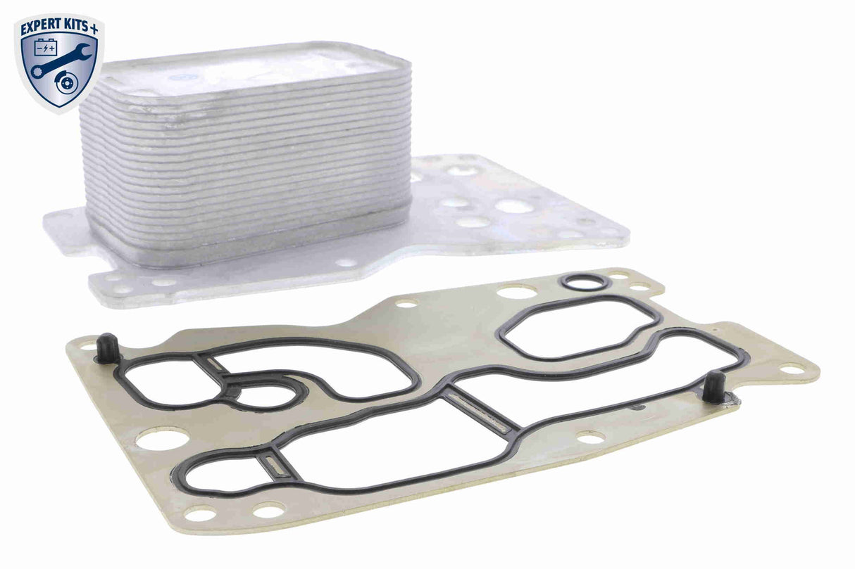 Oil Cooler, engine oil - V20-60-0076