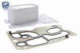 Oil Cooler, engine oil - V20-60-0076