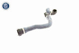 Radiator Hose - V20-1767