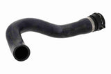 Radiator Hose - V10-000113