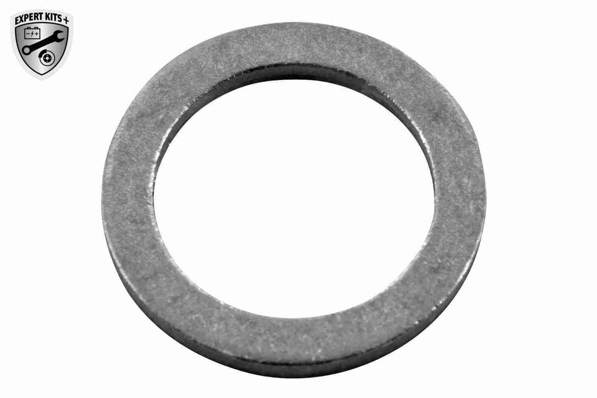 Oil Sump - V20-3374