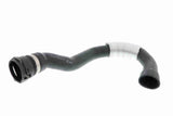 Radiator Hose - V20-2338